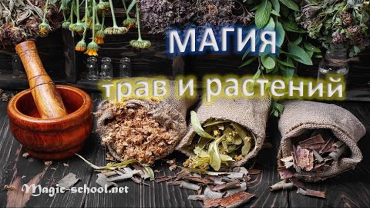 Магия трав и растений