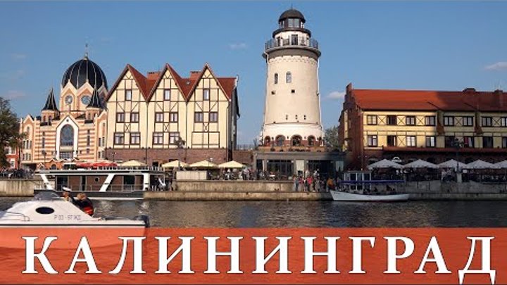 Калининград фото города 2024