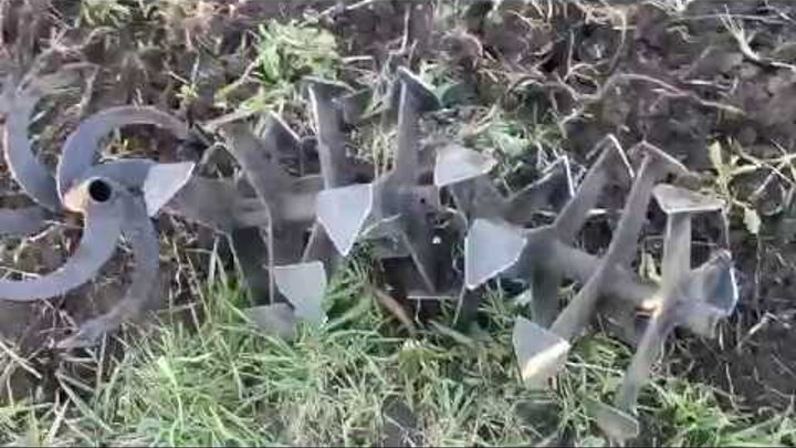 Мотоблок гусиные лапки видео. Культиватор гусиные лапки на мтз 09н. Гусиные лапки для мотоблока мб1. Гусиные лапки на мотоблок ока. Фрезы гусиные лапки для культиватор тарпан.