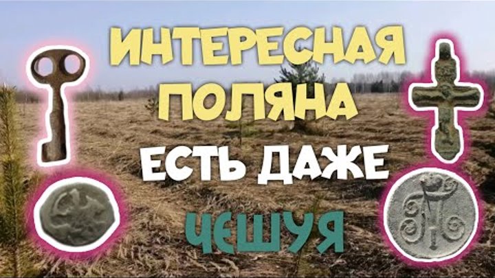 №150 ИНТЕРЕСНАЯ ПОЛЯНКА ЕСТЬ ДАЖЕ ЧЕШУЯ. ПОИСК СТАРИНЫ С ЭКВИНОКС 80 ...