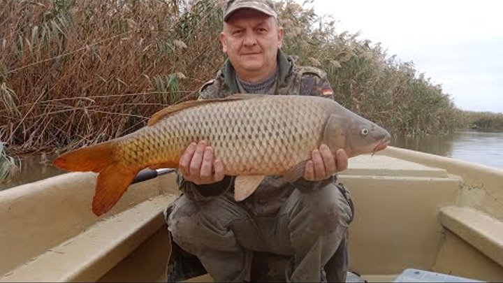 РЫБАЦКИЙ ВЕСТНИК | Группа на OK.ru | Вступай, читай, общайся в ...