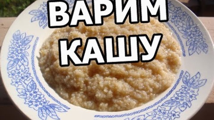 Как варить пшеничную кашу рассыпчатой. Как варить пшеничную кашу на воде. Молока на стакан пшенки. Как солить пшеничную квшу. Пшеничная крупа на воде.