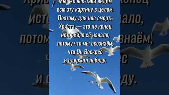 Доброе утро! Радуйтесь тому, что имена ваши записаны на небесах! Хри ...