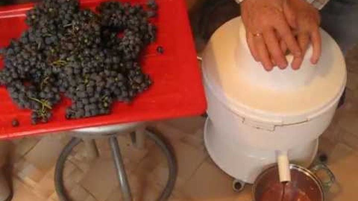 Отжим винограда для вина. Шнековая соковыжималка для винограда с косточками. Отжим сока из винограда. Мясорубка для отжима сока. Отжим винограда для вина.