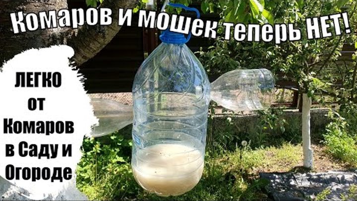 Забыл про Комаров и Мошек на Участке в Саду и Огороде ЛЕГКО!
