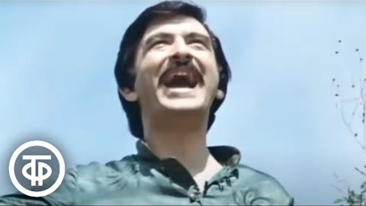 Песня и пускай их. Песня и пускай их