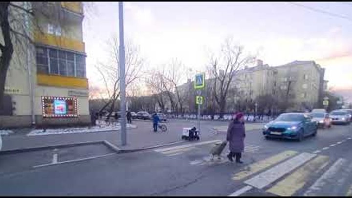 В Москва бабушка перевела робота на колесах через дорогу