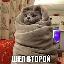 Алена зимина