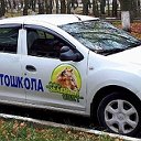 Автошкола Зелёный Свет ТУЛА