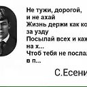 Александр Чечин