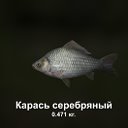 Данил Назаренко