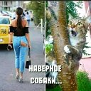 Михаил Савосто