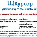 Учебно-курсовой комбинат Курсор