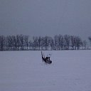 Андрей Самило