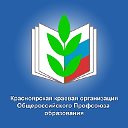 Красноярск Профсоюз образования