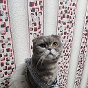 Людмила Демиденко