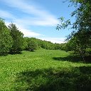 природа южного урала солнечная поляна. полянка в лесу. д поляны. лесные поляны полянка 194. нескошенные луга.