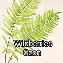 Wildberries Ozon Enakievo