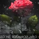 БАГИРА🥰🌹🌹🌹🌹 )))))))))))