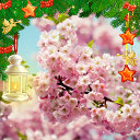 Любовь Игнатенко ( Зелинская )