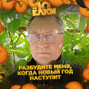 Владимир Лебедев