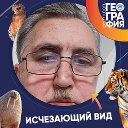 Евгений Варламов