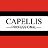 Capellis.ru - оборудование для салонов красоты