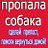 ПОТЕРЯННЫЕ щенки и собаки!москва и все города