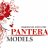 ПРОДЮСЕРСКИЙ ЦЕНТР  "PANTERA MODELS"