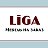 LiGA МЕБЕЛЬ НА ЗАКАЗ МОСКВА - ВЛАДИМИР