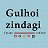 Gulhoi Zindagi