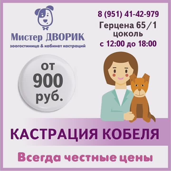 "мистер во!" компания. Герцена 65 омск. Задний дворик ветклиника. Мистер дворик. Псина в мокасинах.