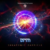 Subatomic Particle