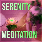 Serenity Meditation - Spa Music, Serenity Relaxing Spa Music, Yoga Therapy, Piano Music, Sounds of Nature Music for Relaxation, ...