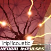 Neural Impulses
