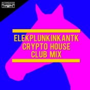Crypto House (Club Mix)