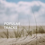 Popular Tracks for Soothing Meditation
