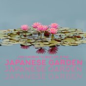 Find a Moment to Meditate in the Japanese Garden. Feel the Relief of Understanding and Peace