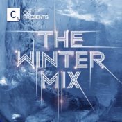 Winter Mix 2009 (Deluxe Edition)