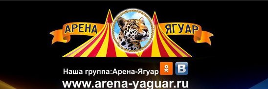 Арена ягуар цирк тольятти билеты