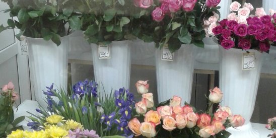 Твой Дворик Ярцево Магазин Официальный Сайт