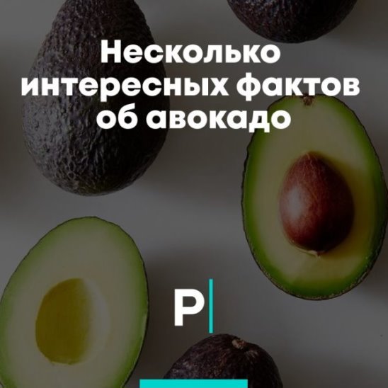 Несколько интересных фактов об авокадо смотреть онлайн Несколько интересных фактов об авокадо
