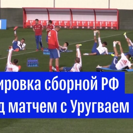 Тренировка российской сборной перед матчем с Уругваем
