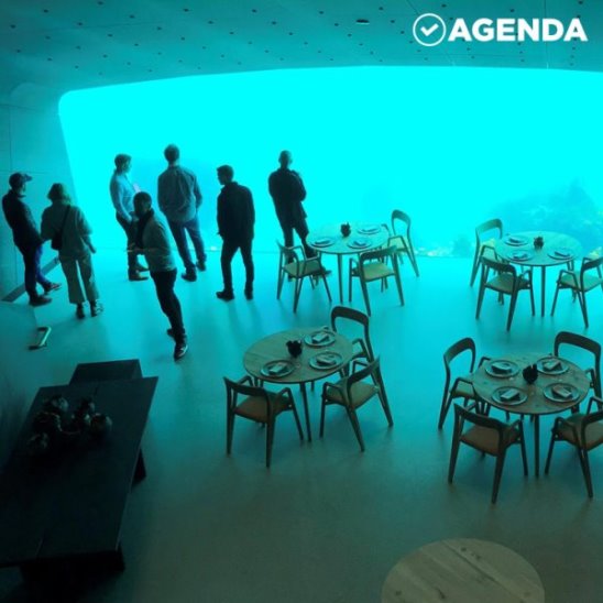 Крупнейший в мире подводный ресторан открыли в Норвегии