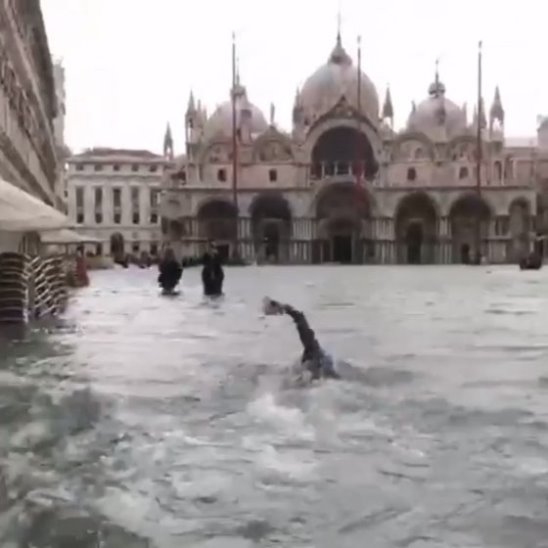 Заплыв в Венеции