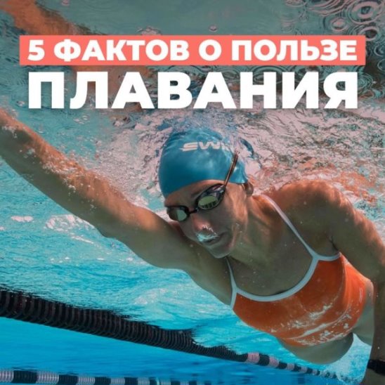 5 фактов о пользе плавания смотреть онлайн 5 фактов о пользе плавания