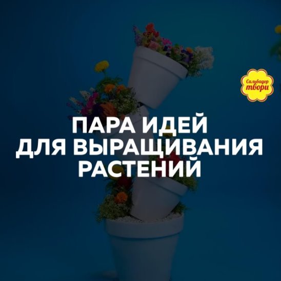 Выращиваем растения смотреть онлайн Выращиваем растения