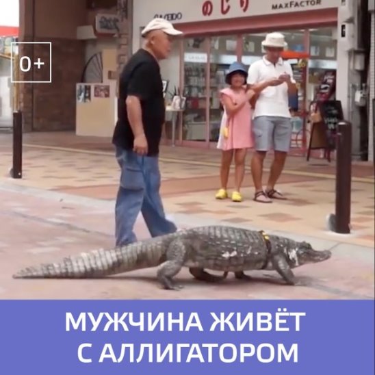 Японец 34 года живёт с двухметровым аллигатором — Москва 24