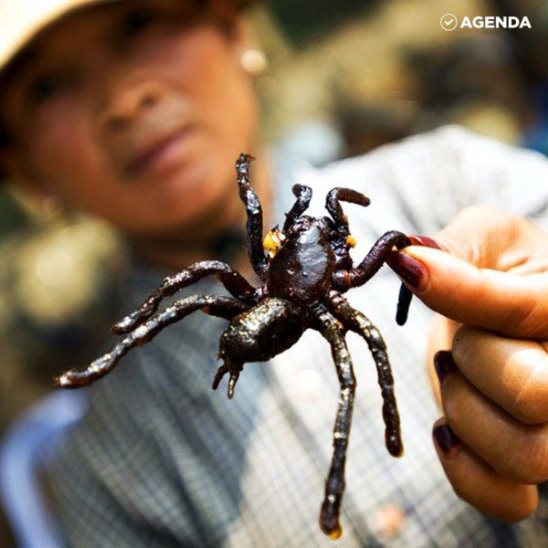 В Камбодже продают жареных тарантулов