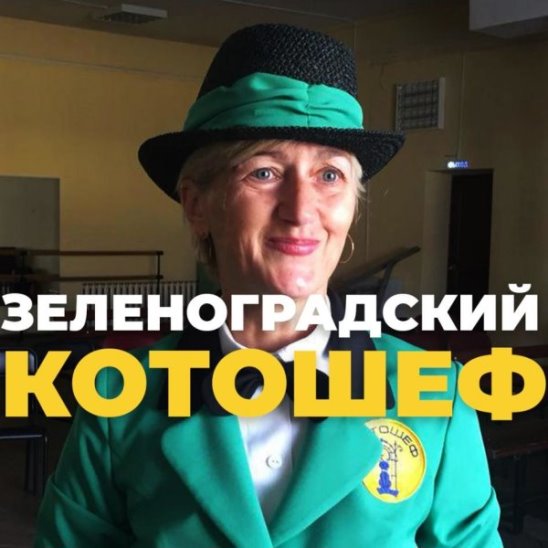 Зеленоградский котошеф смотреть онлайн Зеленоградский котошеф